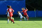 Women's Soccer vs WPI  Wheaton College Women's Soccer vs Worcester Polytechnic Institute. - Photo By: KEITH NORDSTROM : Wheaton, women's soccer